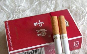 手机可以扫付款码吗怎么扫不了(能用手机扫付款码吗)